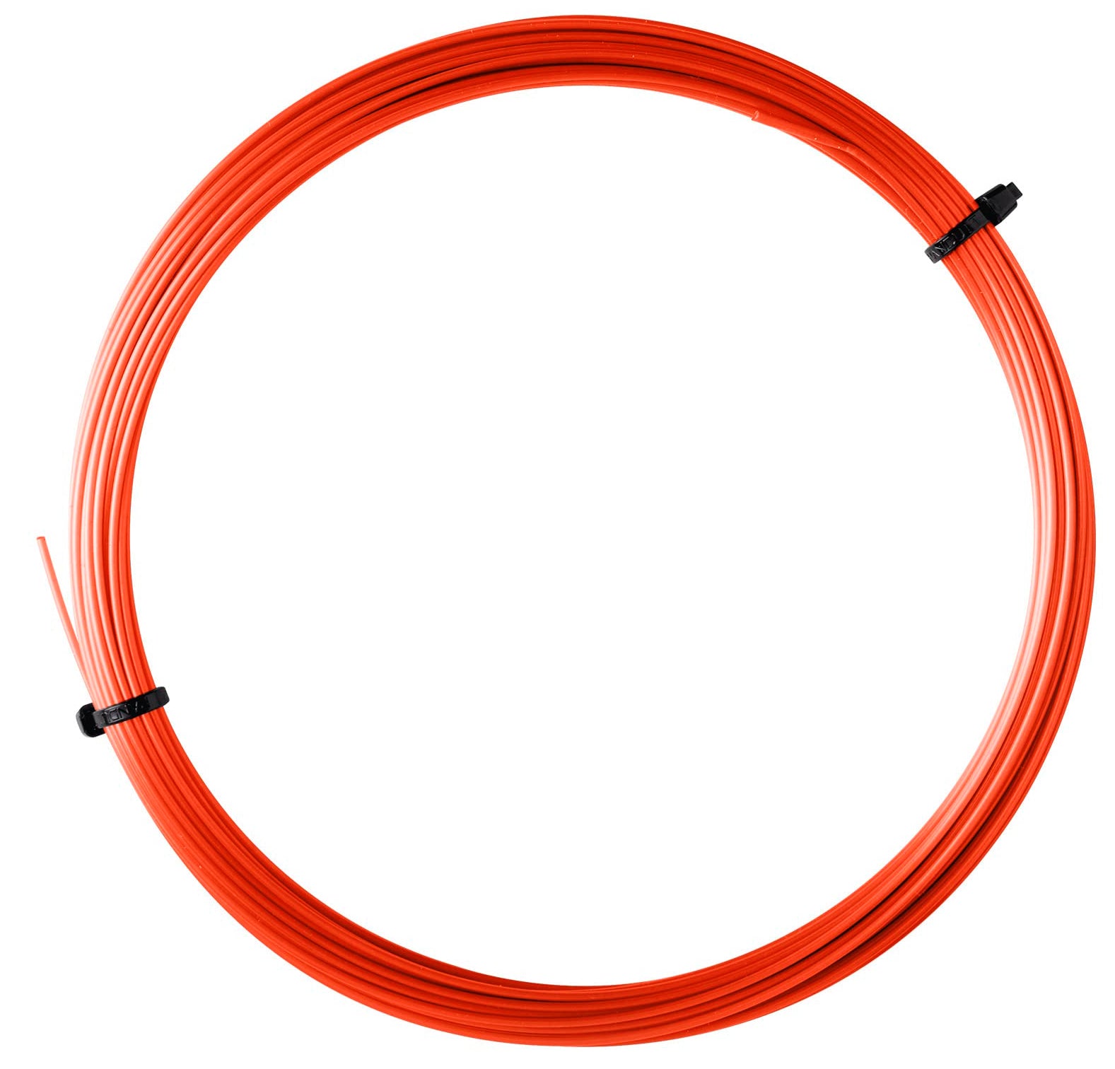 Free String + Striniging