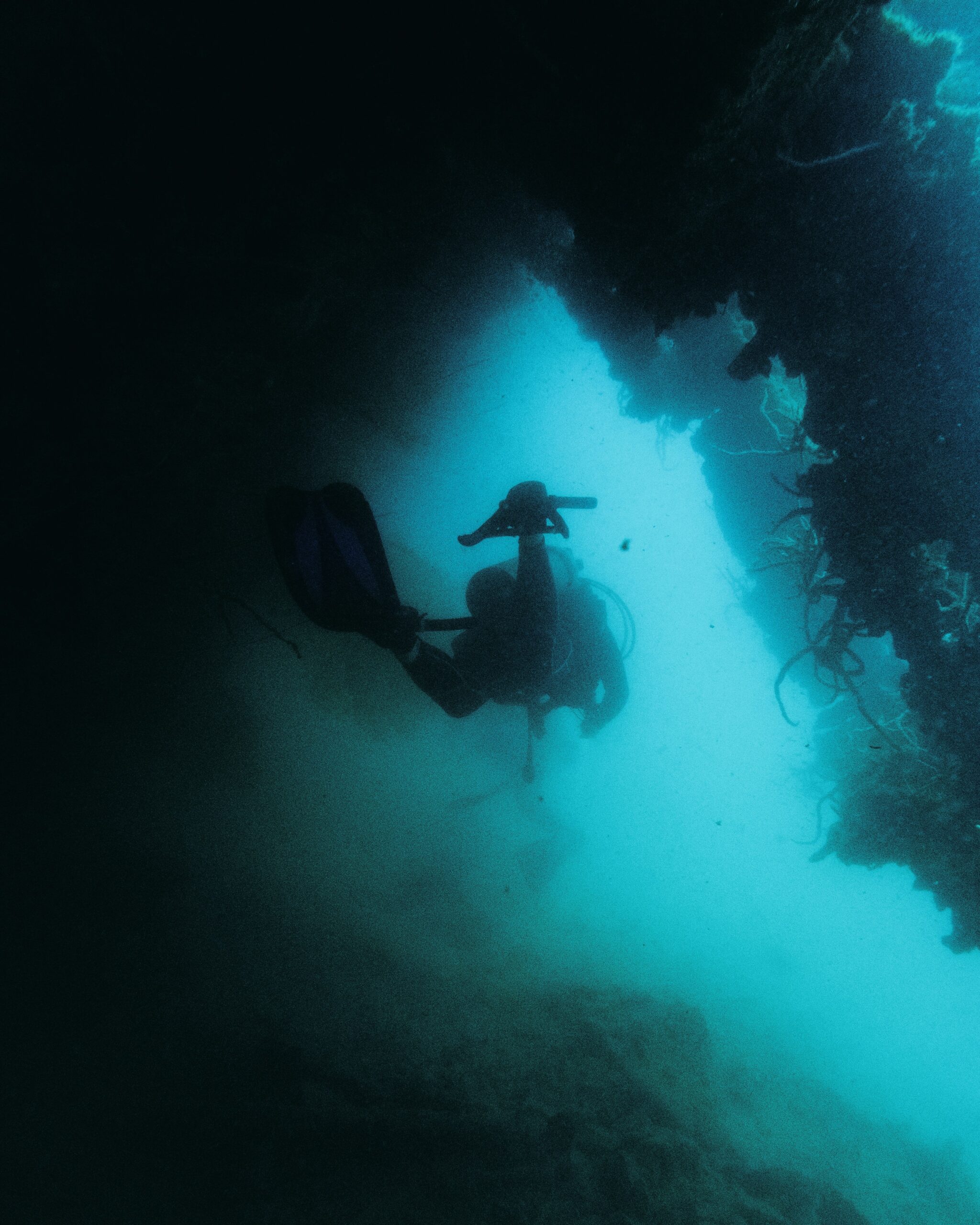 Hello World Featured Image